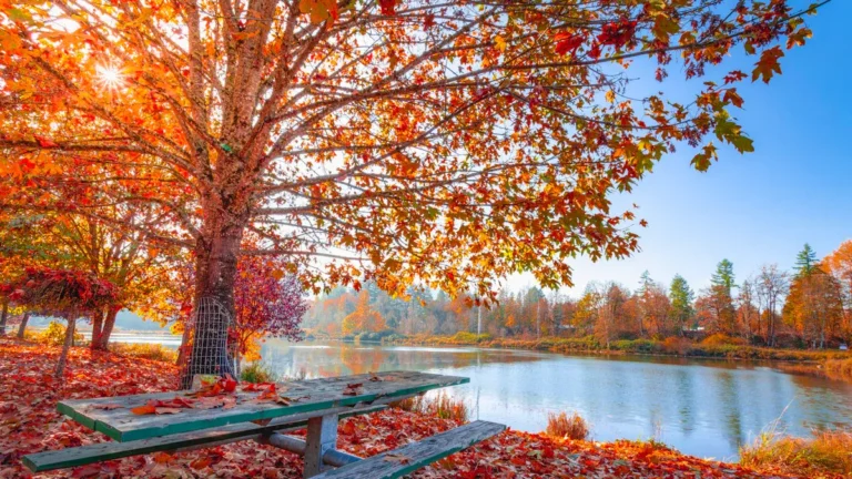 November Honeymoon Destinations: Best Places to Celebrate in Fall