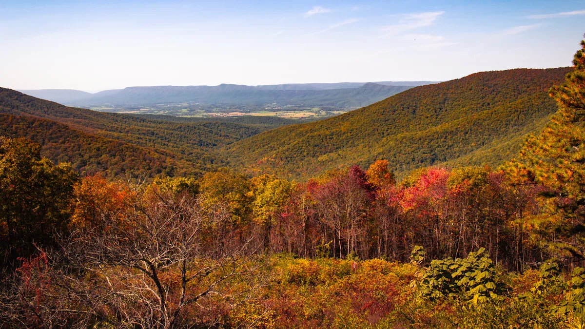Explore Virginia’s Scenic Countryside
