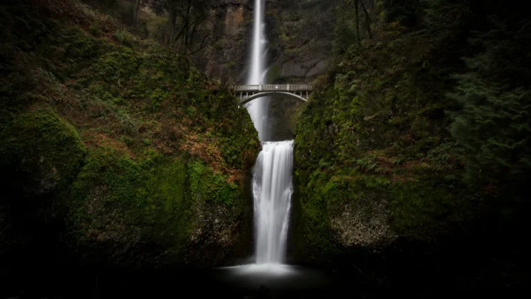 5 Underrated State Parks in Washington You Need to Explore