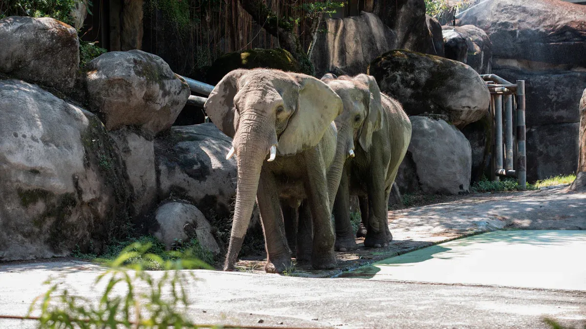 San Diego Zoo