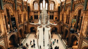 Titanic Museum Locations: Where to Explore History and Relive the Tragedy