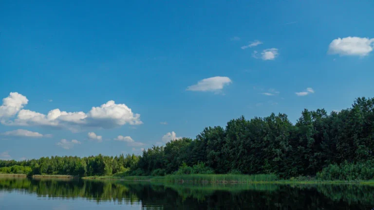 Fishing Lodges in Upper Peninsula Michigan: Best Spots for a Fishing Getaway