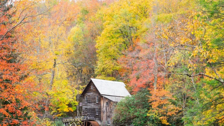 Explore Virginia’s Scenic Countryside