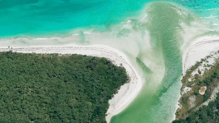 Emerald Cruises vs Scenic Cruises: Which Luxury Cruise Line is Right for You?