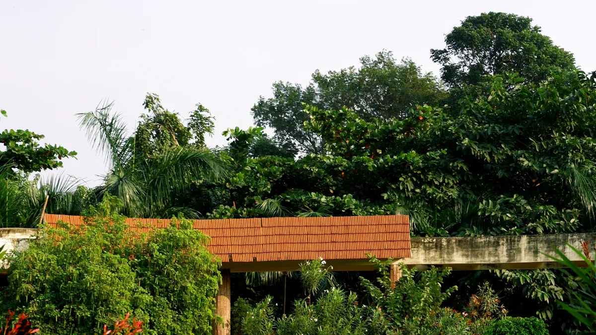 Hidden Gems in Entebbe