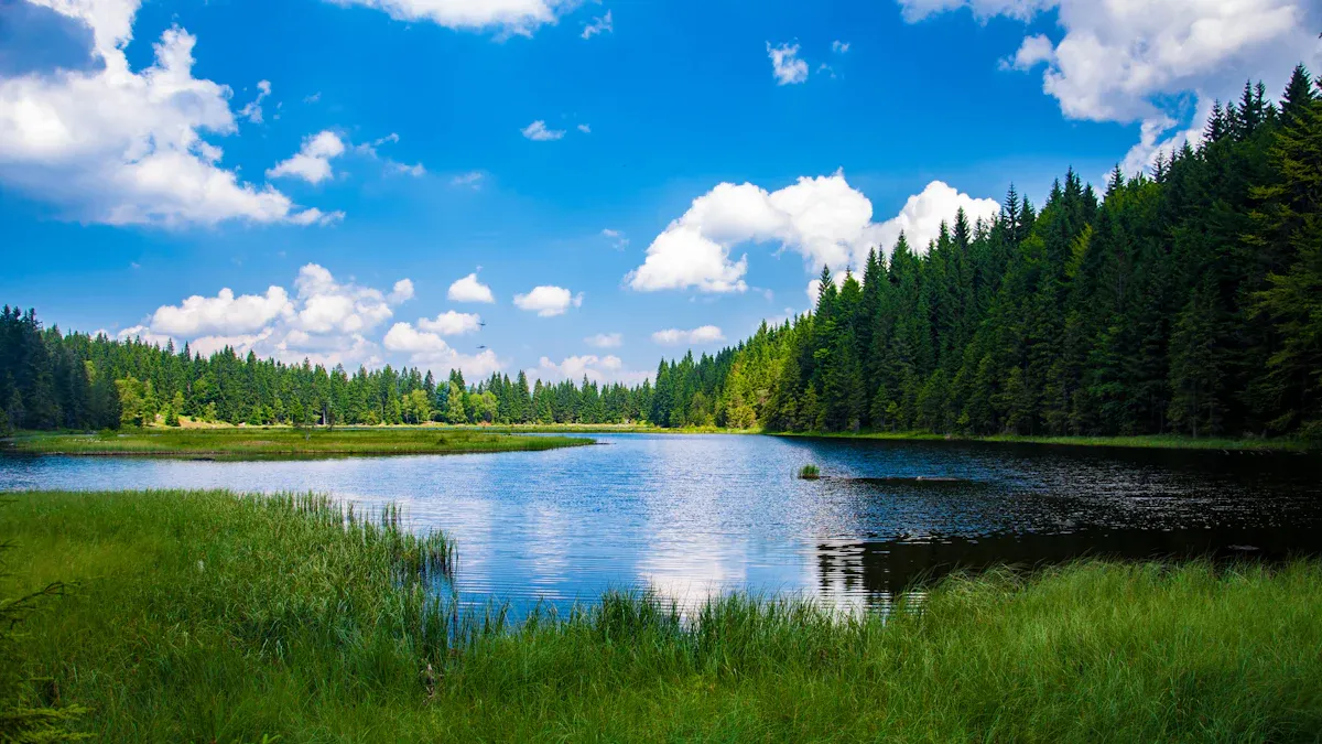 Scenic Things to Do in June Lake, CA: Fishing, Hiking & Eastern Sierra Getaway