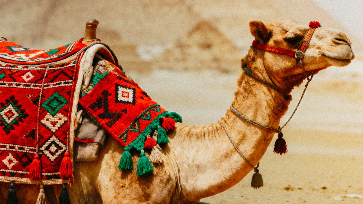 Cultural Experiences in Egypt