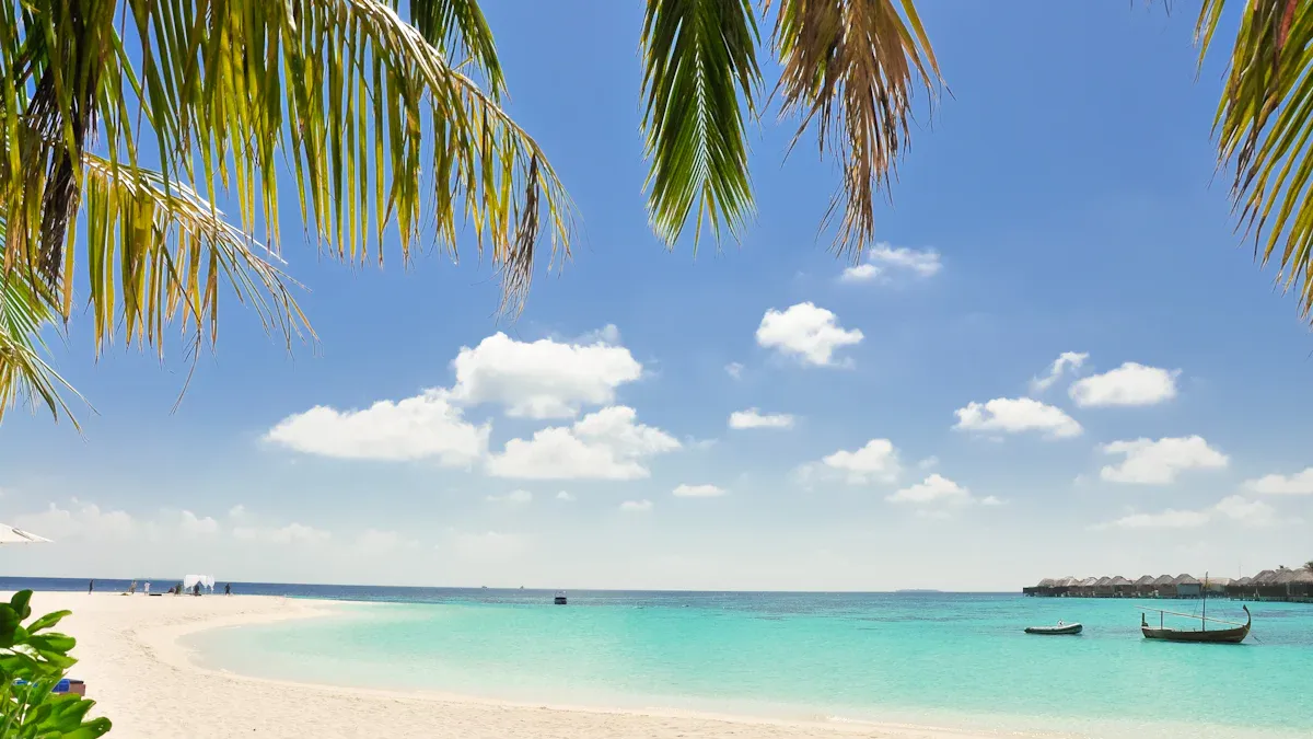 Beaches: Aruba vs Bahamas