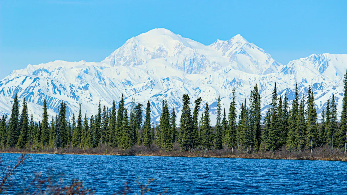 1. Denali National Park: Majestic Peaks & Wildlife