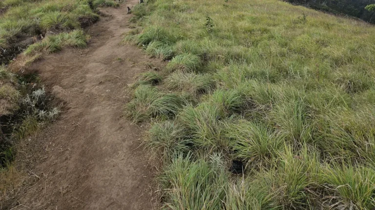 Best Hiking Trails in Mindanao