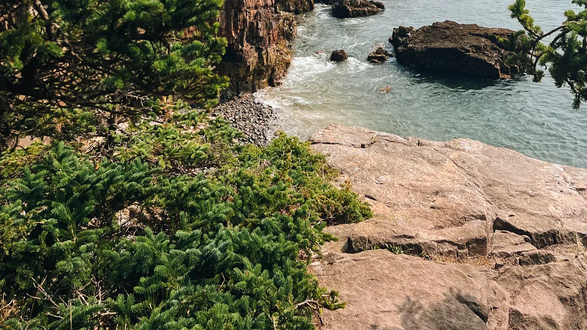 Best attractions in New England