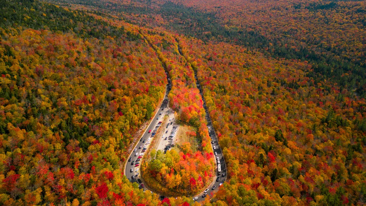 Best Natural Attractions