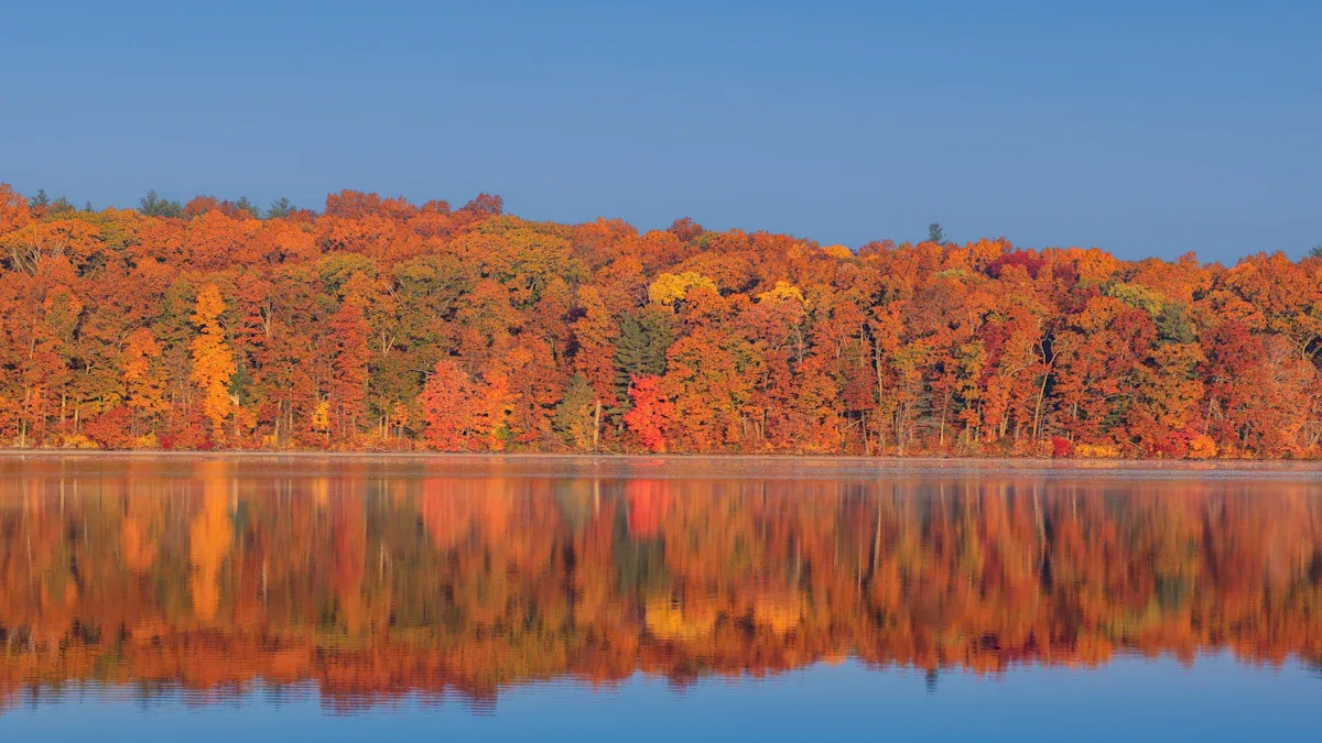 1. Lake Chauncy Recreation