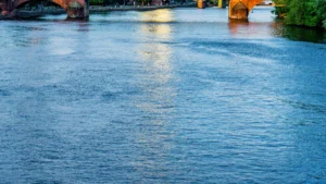 14 Must-Do Activities in Macclenny, FL for 2026