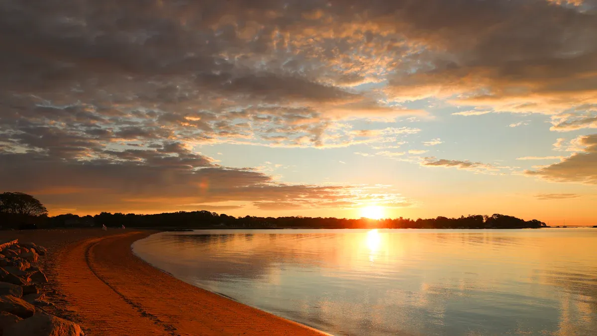 4. Relax at Cove Island Park