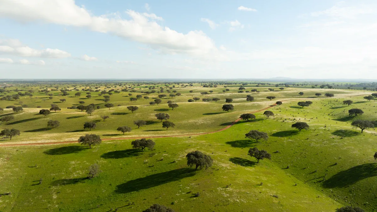 19. Alentejo Countryside Trails