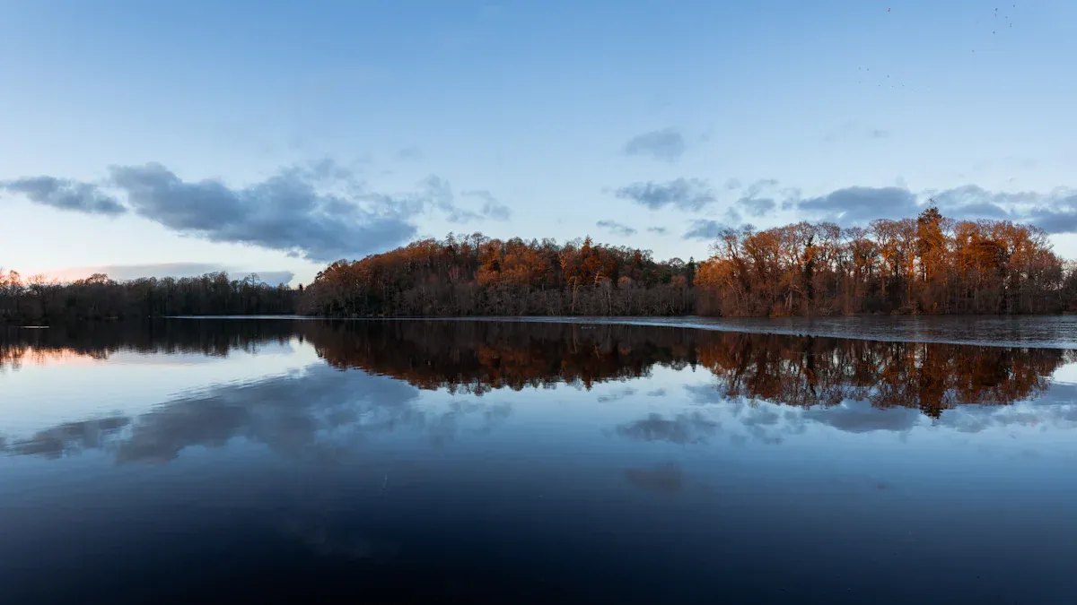 1. Discover Three Oaks Recreation Area: Best Things to Do