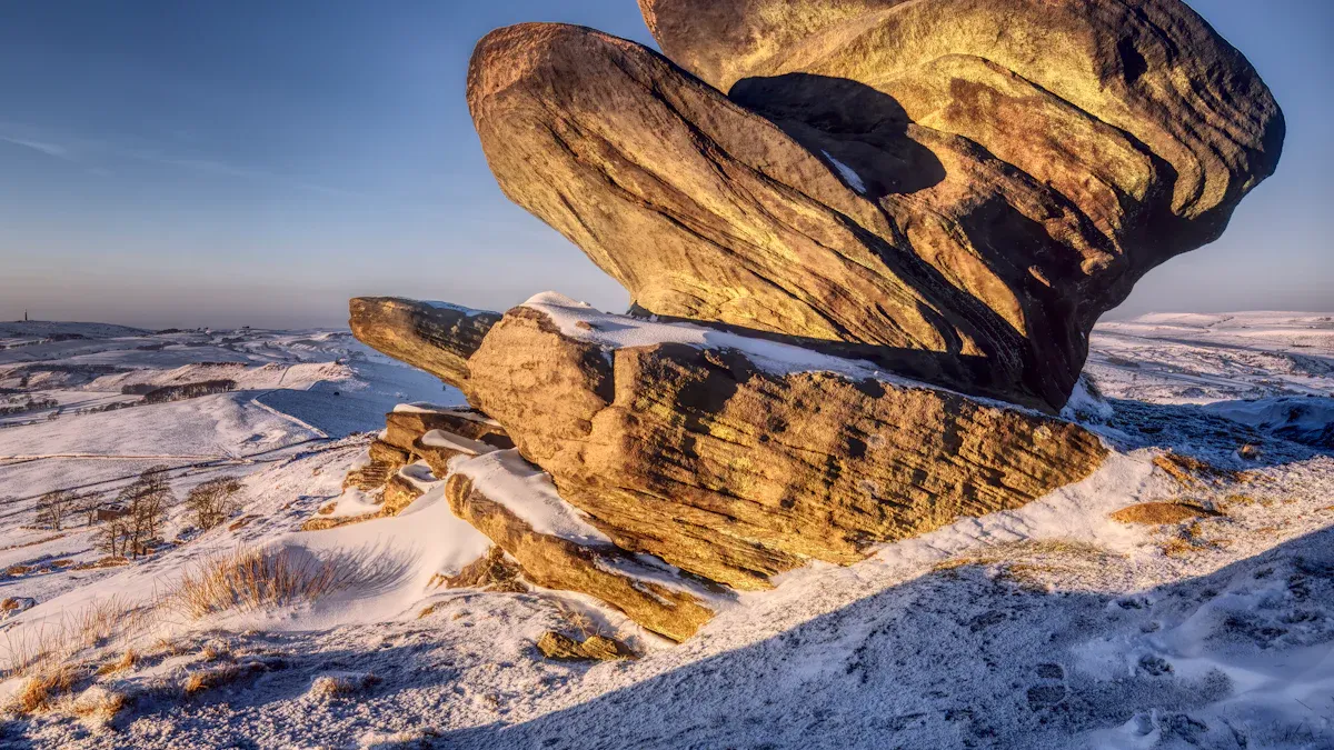 21 Must-Do Activities in Macclesfield, Cheshire