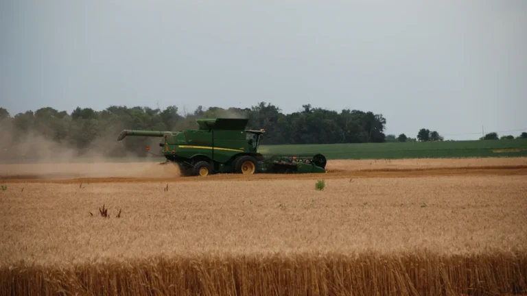 23 Must-Do Activities in Spalding, Lincolnshire This Year