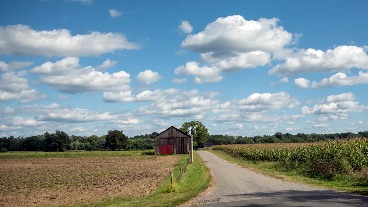 5. Roaring Acres Alpacas