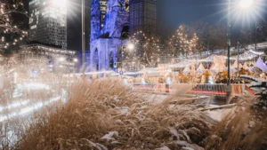 20 Must-Do Activities in Stamford, CT for 2026