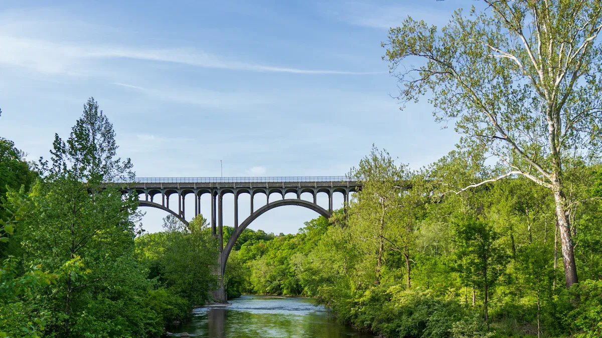 18. Lake Williams Boardwalk