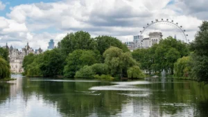 21 Must-Do Activities in Sutton London Boroughs for 2026