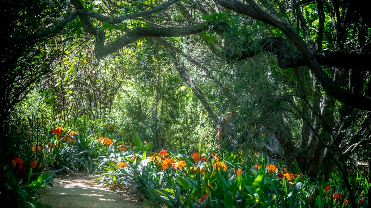 3. Port St. Lucie Botanical Gardens