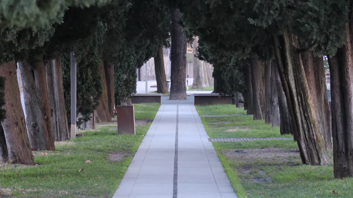 3. Relax at Stevenson Park