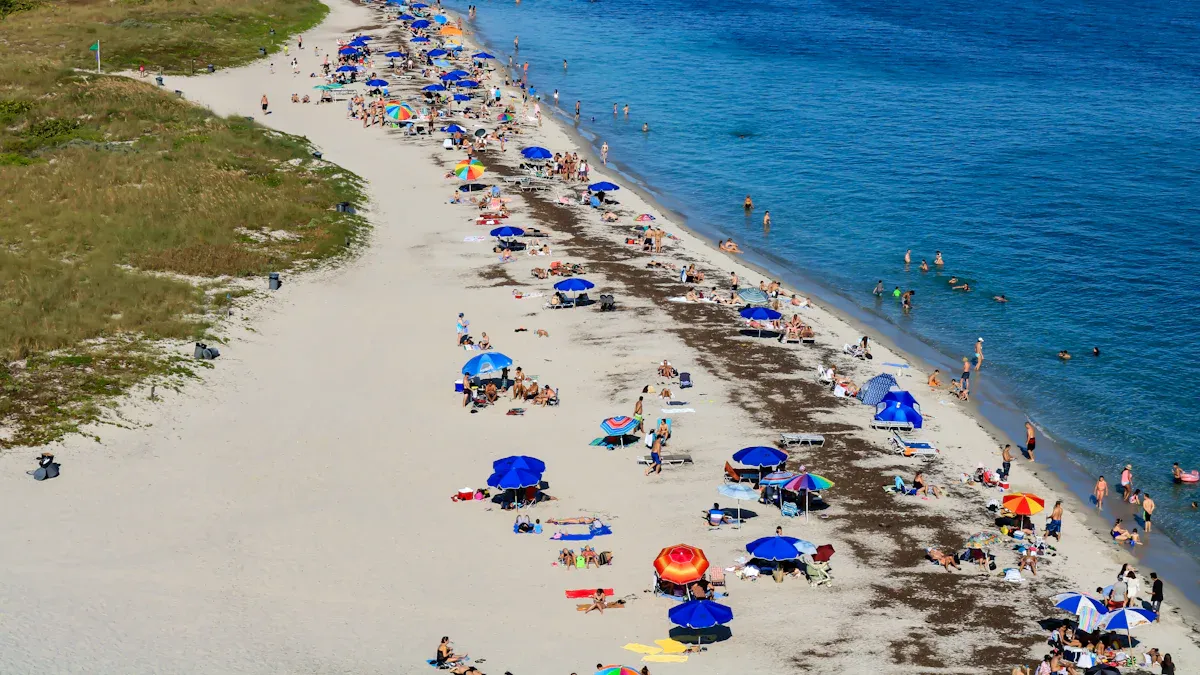 3. Relax at Crandon Park Beach