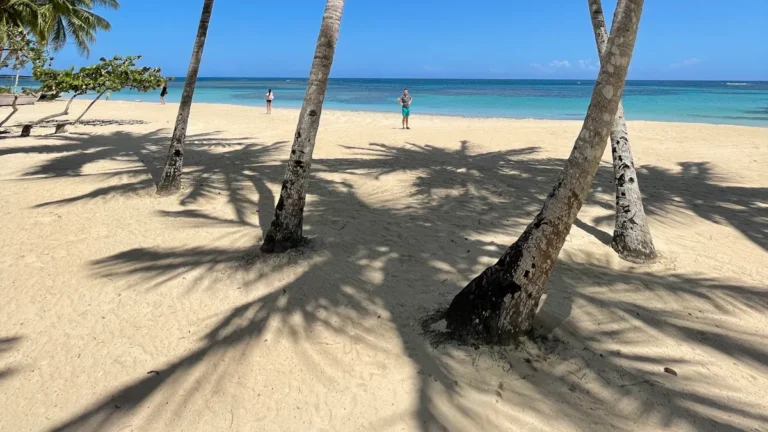 18 Best Beaches in Barbados You Must Visit in 2026