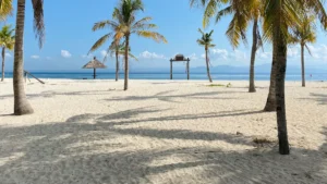 13 Unforgettable Things to Do in Key Biscayne, FL in 2026