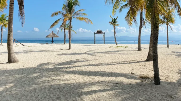 13 Unforgettable Things to Do in Key Biscayne, FL in 2026