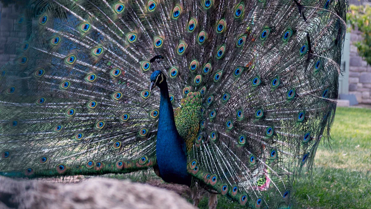 4. Baytree Owl and Wildlife Centre