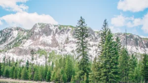 17 Must-Do Activities in Gardiner ME for 2026