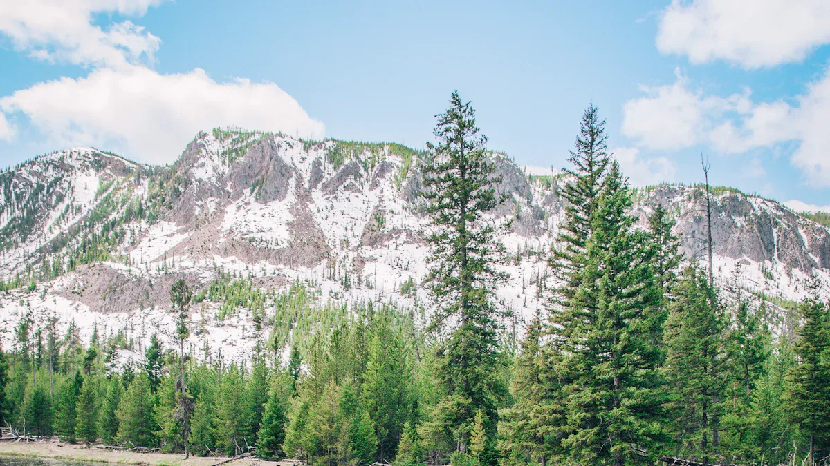 17 Must-Do Activities in Gardiner ME for 2026