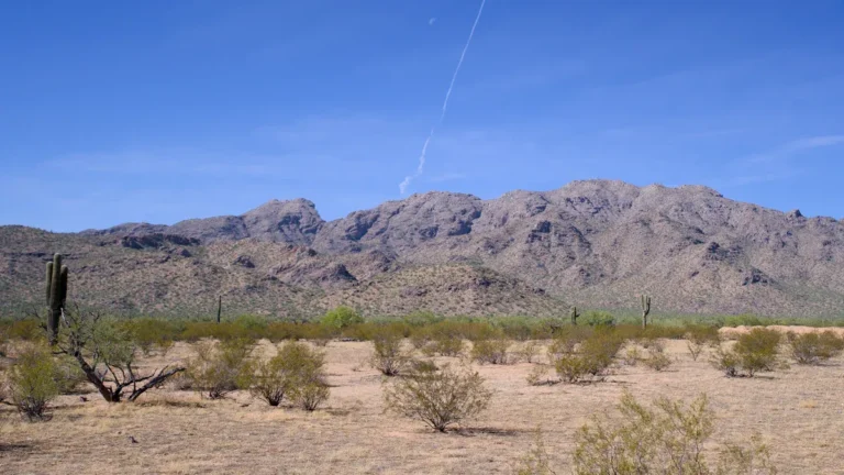 27 Must-Do Activities in Show Low, AZ for 2026