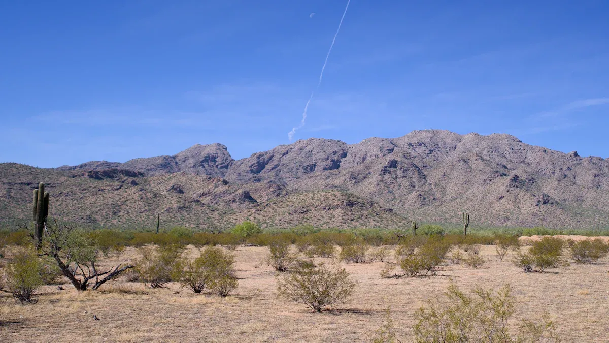 27 Must-Do Activities in Show Low, AZ for 2026
