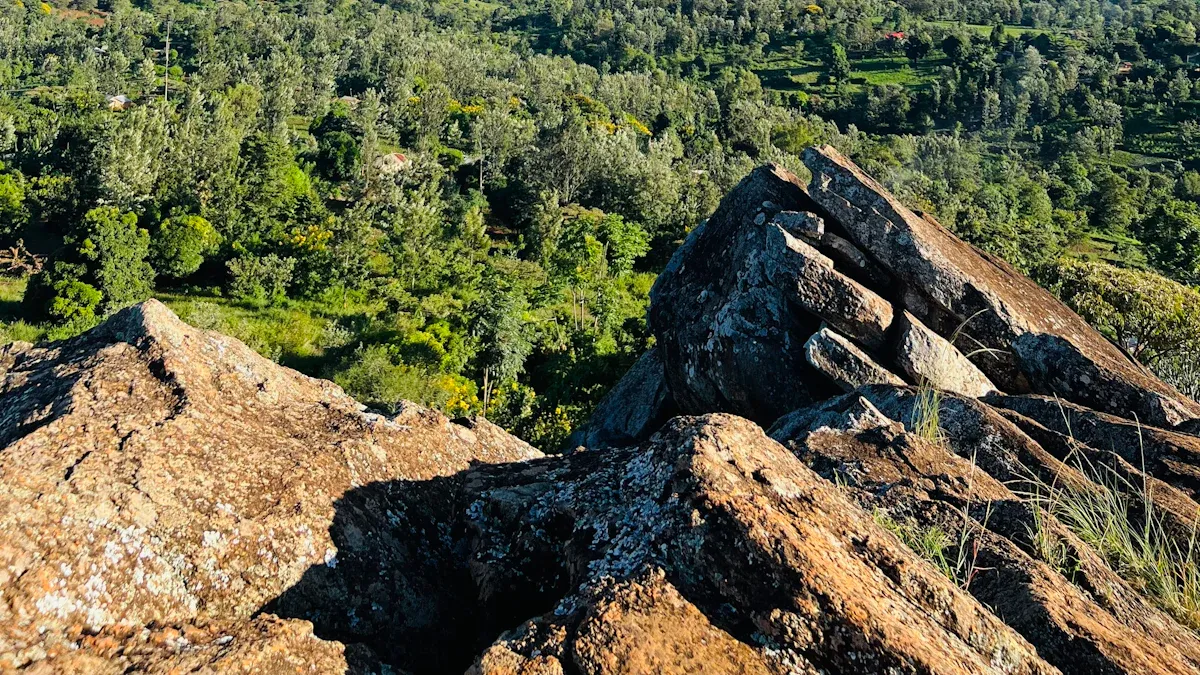 12. Adventure at J&W Adventure Park