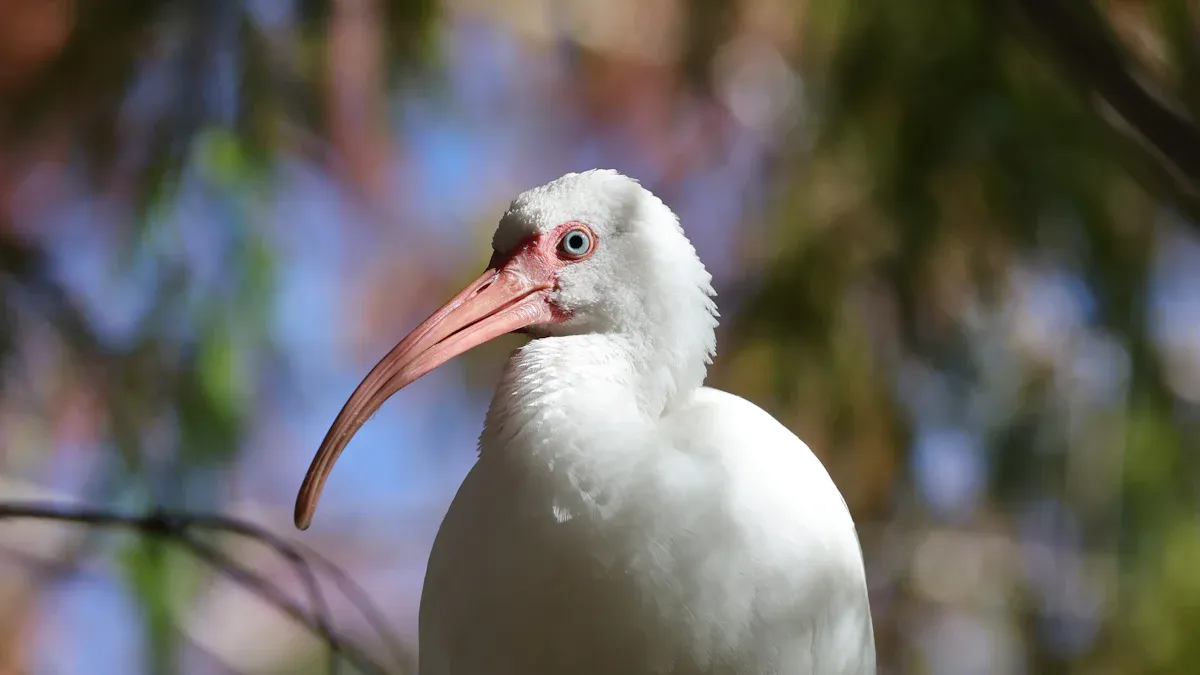 17 Must-Do Activities in Maitland, FL for 2026