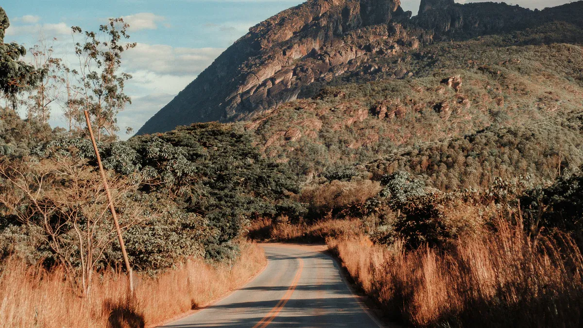 7. Mogollon Rim Trail