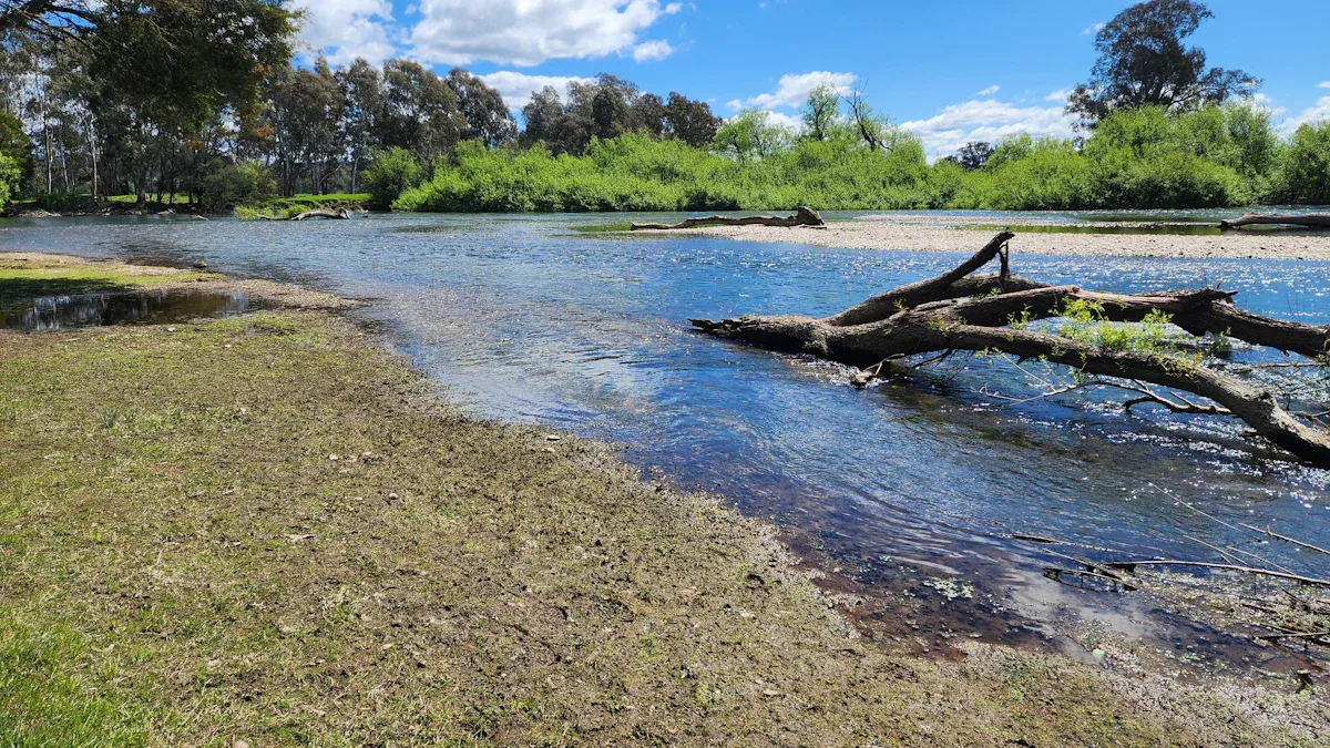 5. Merino Pond Activities