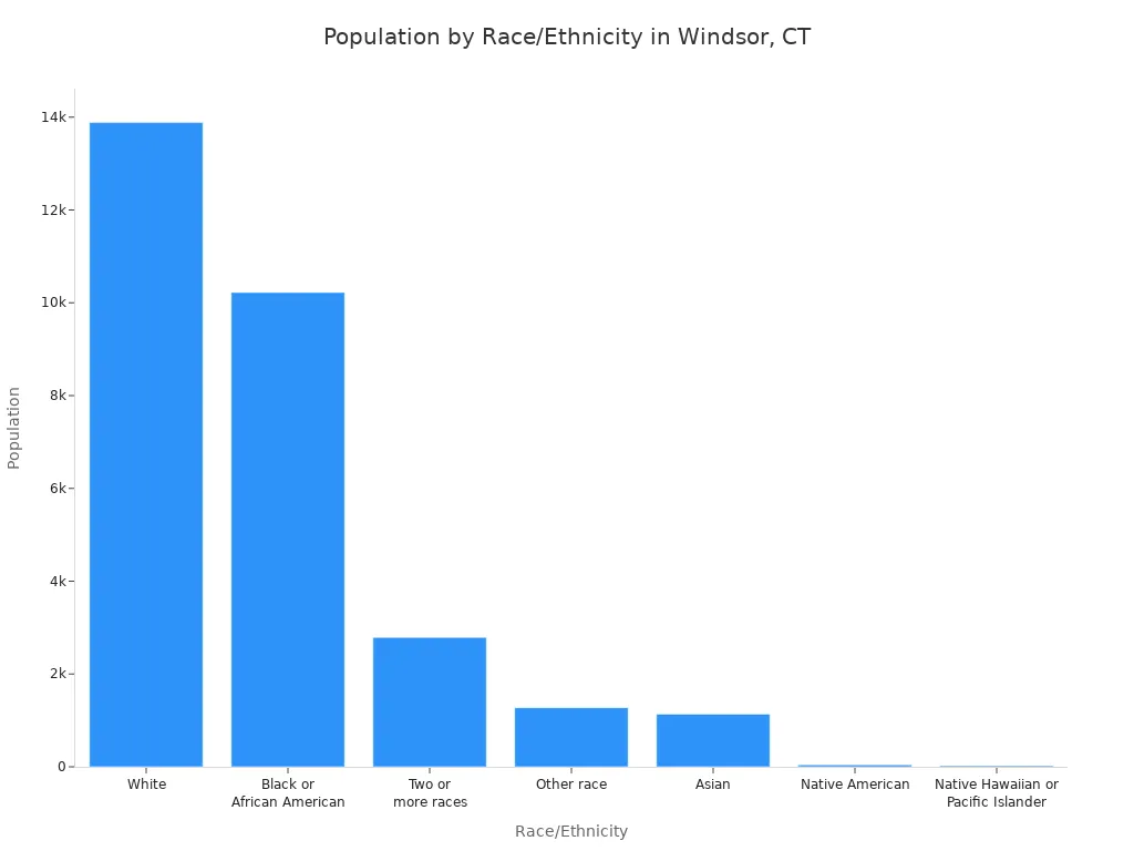 A bar chart showing the population distribution by race and ethnicity in Windsor, CT. White is the largest group, followed by Black or African American.