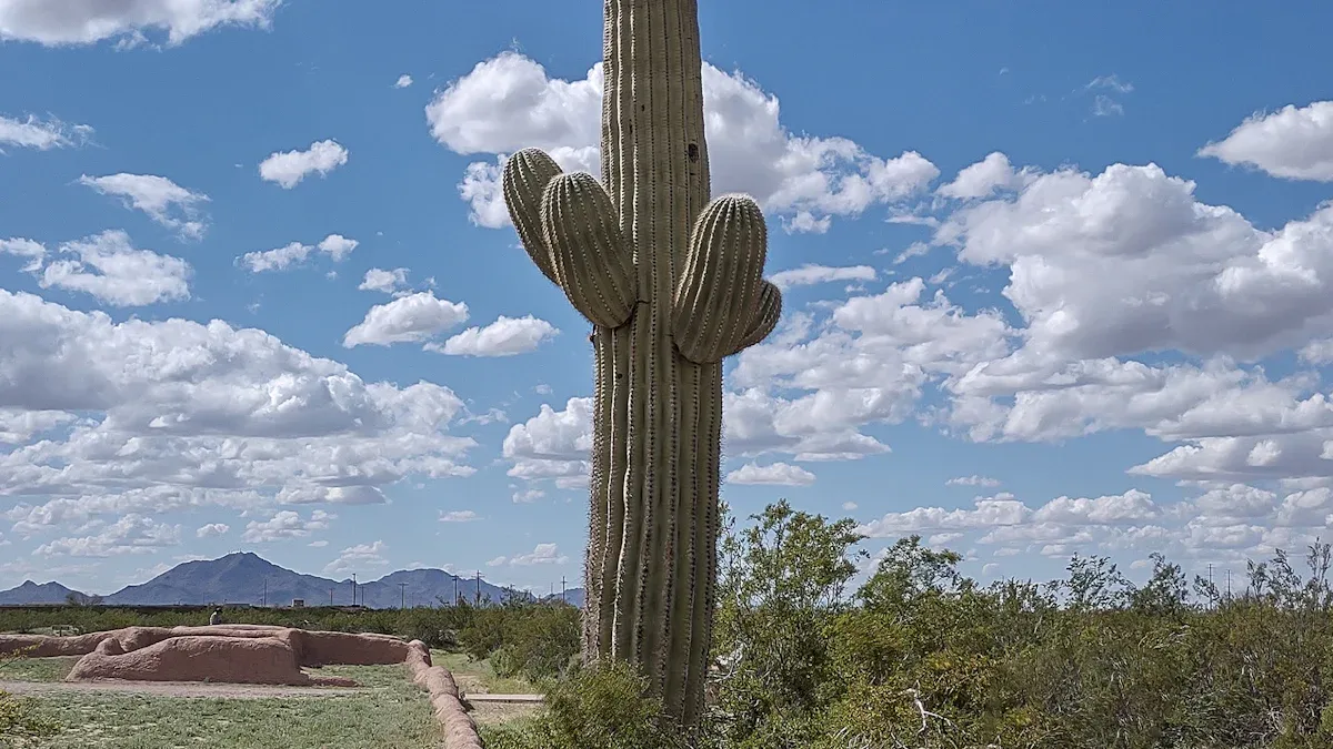 1. Casa Grande Ruins National Monument