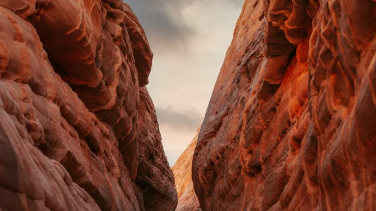 18 Must-Do Activities in Surprise, AZ for 2026