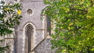 24 Must-Do Activities in Windsor, CT for 2026