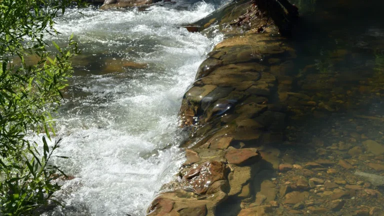 23 Must-Do Activities in Rogers, Arkansas for 2026