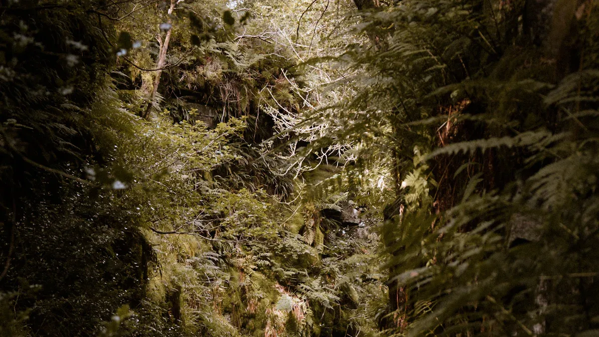3. Hike Macclesfield Forest