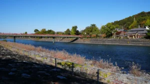 19 Must-Do Activities in Westborough, MA for 2026