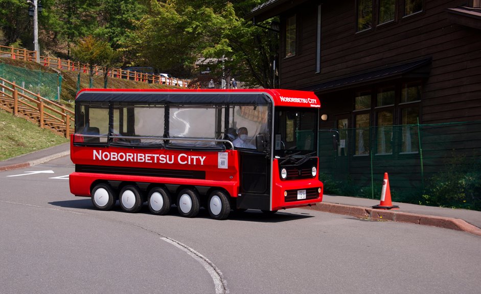 japan touring accessibility tips